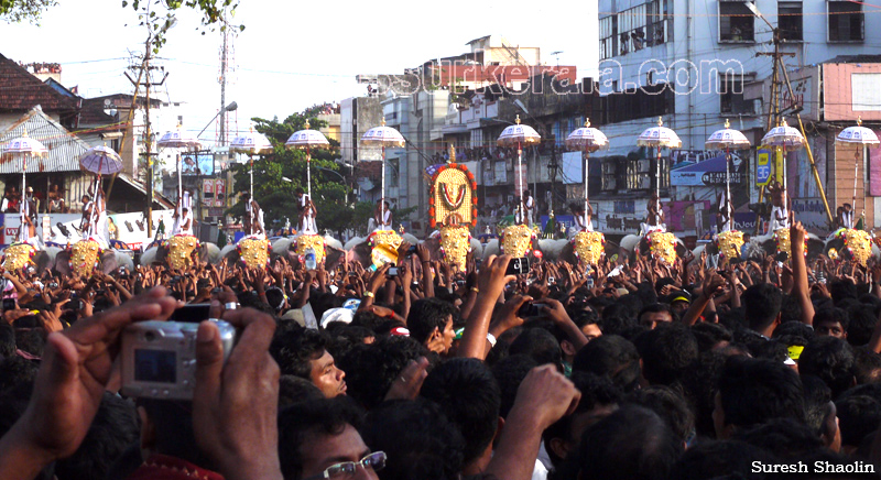 thrissur-pooram-2011- (86)